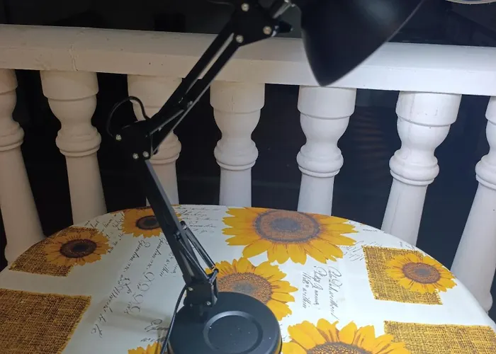 Relax Торевьиа